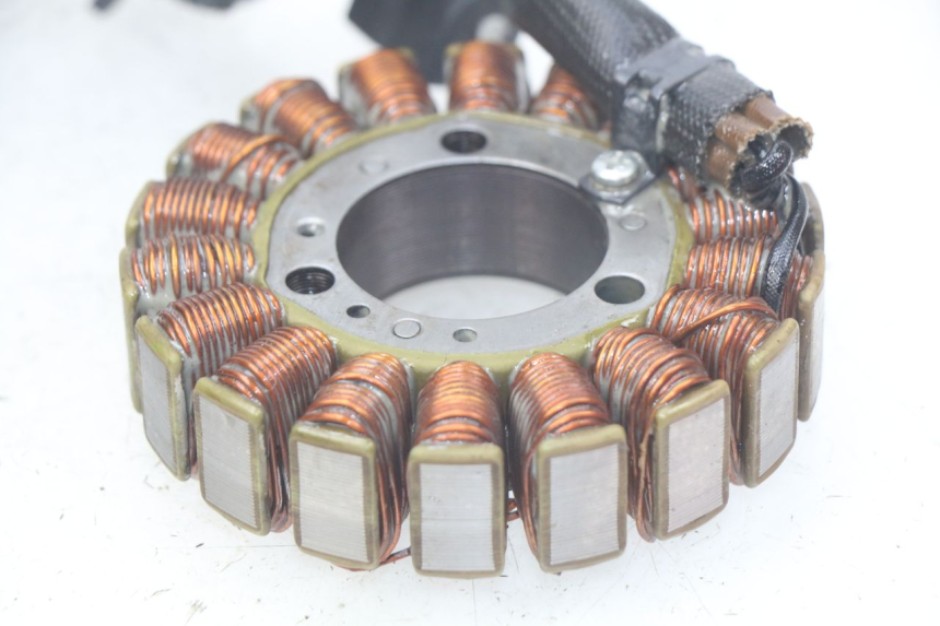 photo de ROTOR ESTATOR PEUGEOT GEOPOLIS 400 (2007 - 2013) - Ampliação técnica
