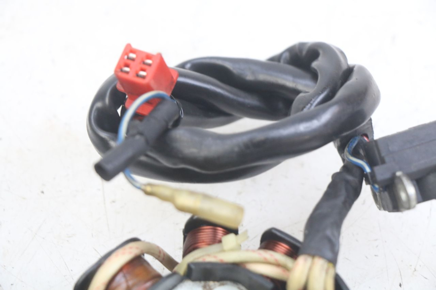 photo de ROTOR ESTATOR REVATTO IMPERATOR 125 (2007 - 2015) - Ampliação técnica