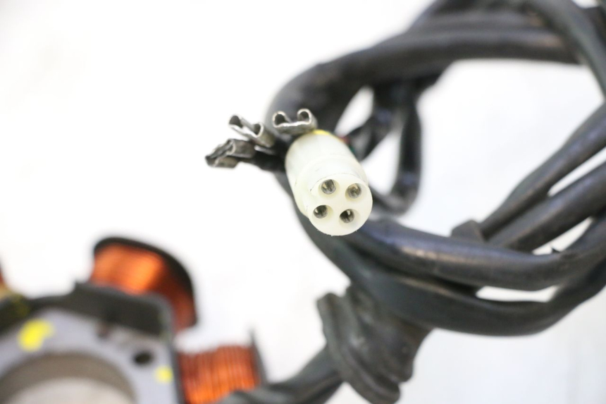 photo de ROTOR ESTATOR PIAGGIO LIBERTY 50 (1998 - 2003) - Peça verificada