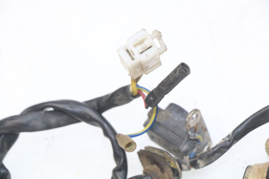 photo de ROTOR ESTATOR JM MOTORS OLDIES 4T 50 (2010 - 2020) - Zoom do estado de desgaste