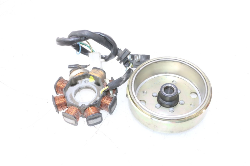 photo de ROTOR ESTATOR JM MOTORS OLDIES 4T 50 (2010 - 2020) - Detalhes característicos