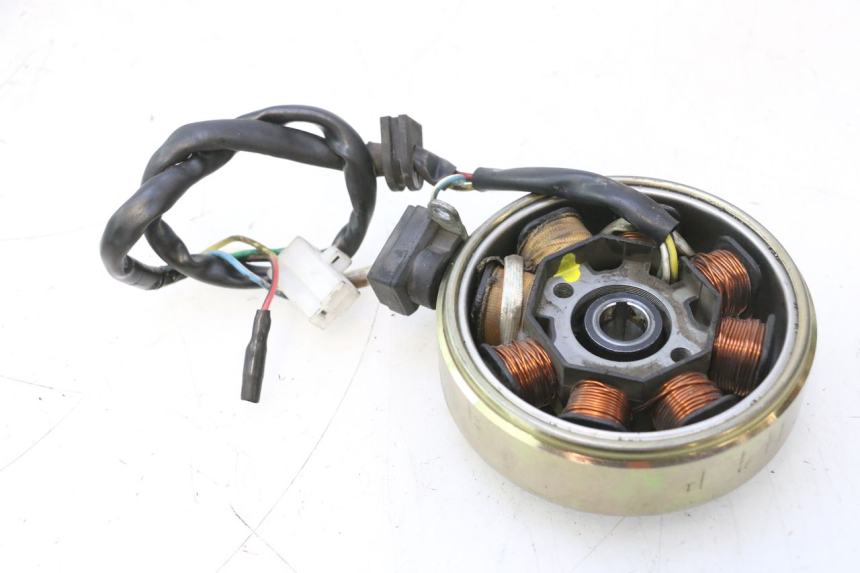 photo de ROTOR ESTATOR JM MOTORS OLDIES 4T 50 (2010 - 2020) - Ampliação técnica