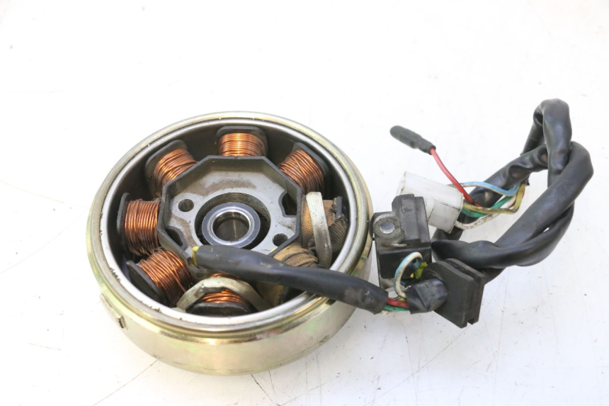photo de ROTOR ESTATOR JM MOTORS OLDIES 4T 50 (2010 - 2020) - Vista geral