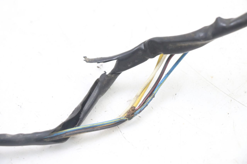 photo de ROTOR ESTATOR PEUGEOT TKR TREKKER FURIOUS 50 (2005 - 2014) - Detalhes característicos