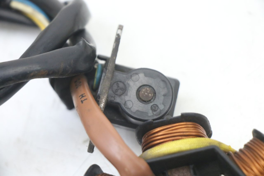 photo de ROTOR ESTATOR PEUGEOT TKR TREKKER FURIOUS 50 (2005 - 2014) - Peça verificada