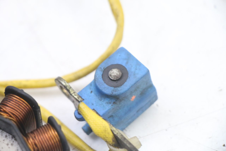 photo de ROTOR ESTATOR PIAGGIO X8 125 (2004 - 2007) - Peça verificada