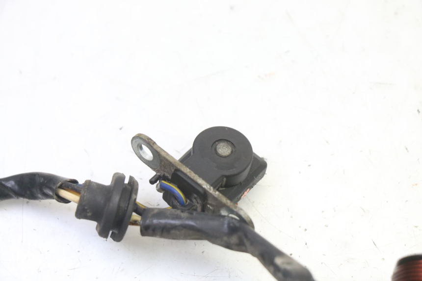 photo de ROTOR ESTATOR PGO RODOSHOW 2T 50 (2003 - 2007) - Vista geral