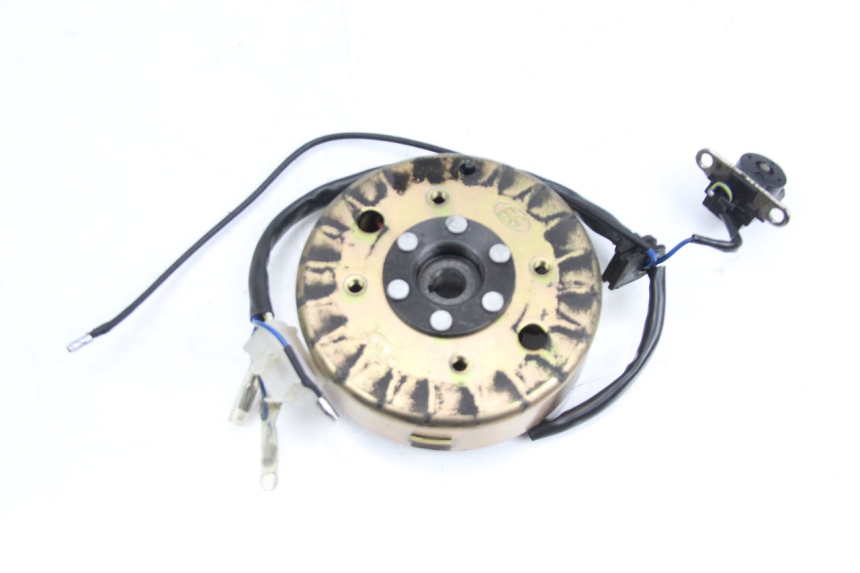 photo de ROTOR ESTATOR TNT MOTOR ROMA 10' 4T 50 (2007 - 2018) - Vista principal
