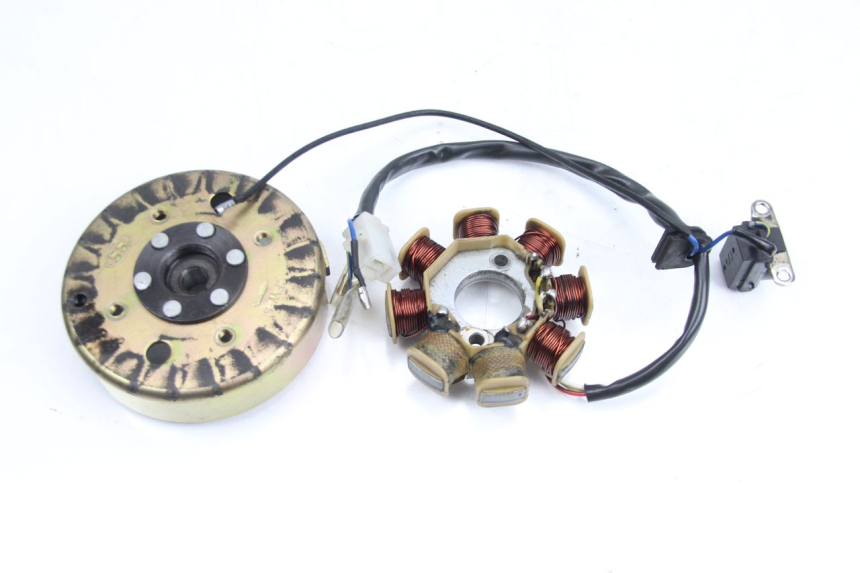 photo de ROTOR ESTATOR TNT MOTOR ROMA 10' 4T 50 (2007 - 2018) - Detalhe da peça