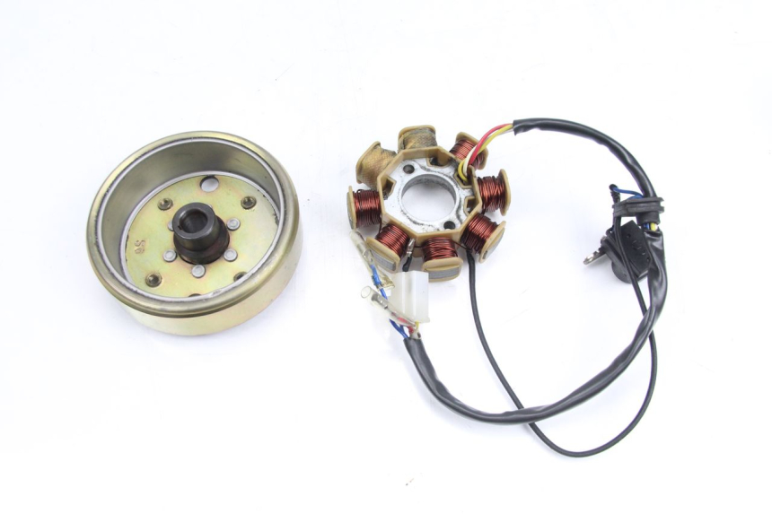 photo de ROTOR ESTATOR TNT MOTOR ROMA 10' 4T 50 (2007 - 2018) - Zoom do estado de desgaste