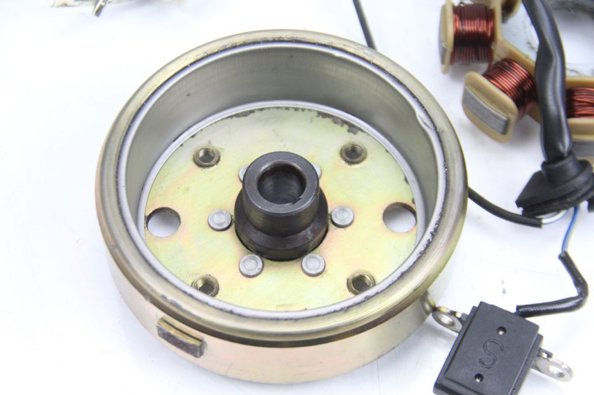 photo de ROTOR ESTATOR TNT MOTOR ROMA 10' 4T 50 (2007 - 2018) - Ampliação técnica