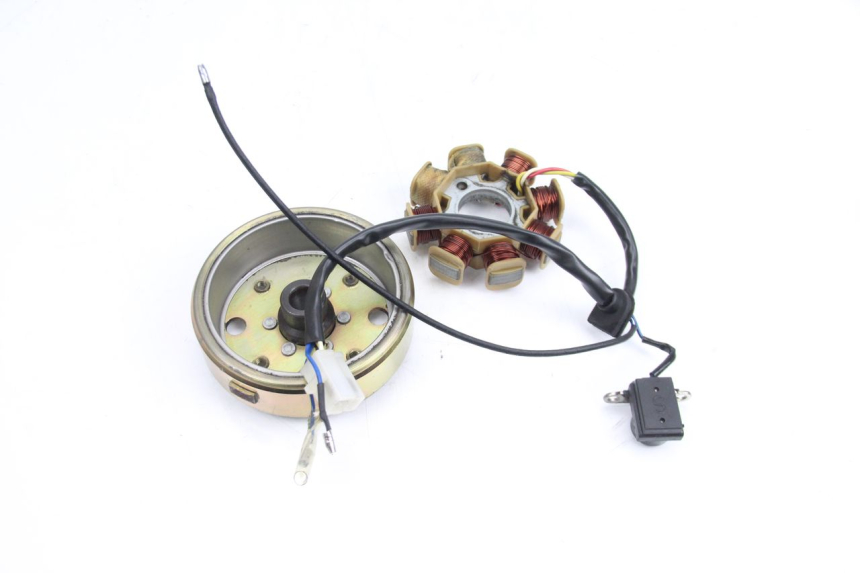 photo de ROTOR ESTATOR TNT MOTOR ROMA 10' 4T 50 (2007 - 2018) - Vista geral