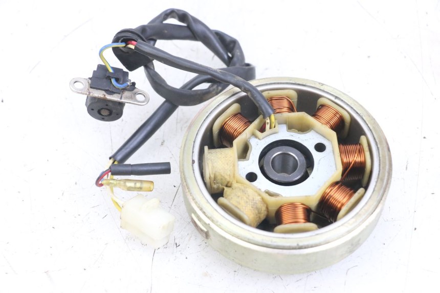 photo de ROTOR ESTATOR TNT MOTOR ROMA 10' 4T 50 (2007 - 2018) - Detalhe da peça