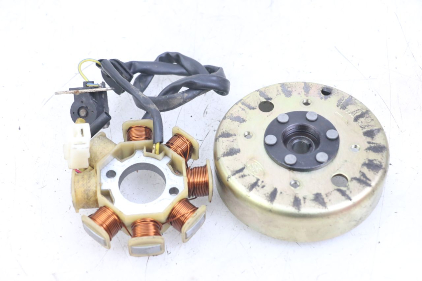 photo de ROTOR ESTATOR TNT MOTOR ROMA 10' 4T 50 (2007 - 2018) - Zoom do estado de desgaste
