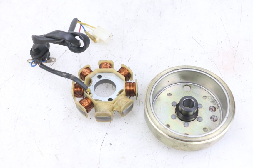 photo de ROTOR ESTATOR TNT MOTOR ROMA 10' 4T 50 (2007 - 2018) - Ampliação técnica