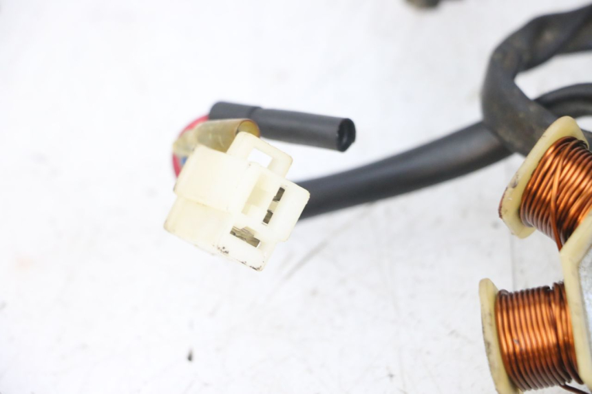 photo de ROTOR ESTATOR TNT MOTOR ROMA 10' 4T 50 (2007 - 2018) - Pontos de fixação