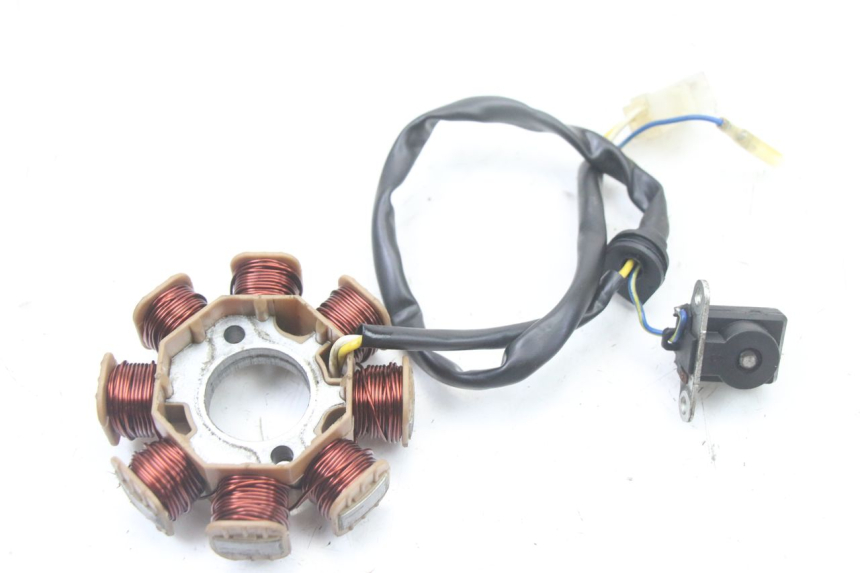 photo de ROTOR ESTATOR TNT MOTOR ROMA 10' 4T 50 (2019 - 2022) - Ampliação técnica