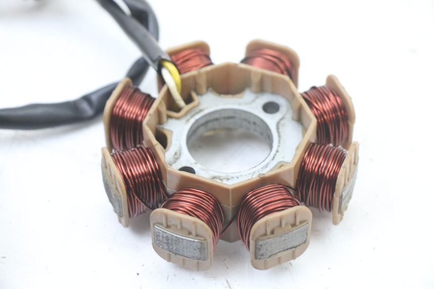 photo de ROTOR ESTATOR TNT MOTOR ROMA 10' 4T 50 (2019 - 2022) - Vista geral