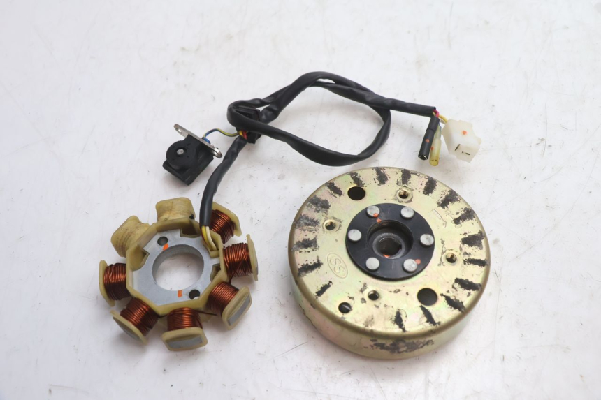 photo de ROTOR ESTATOR TNT MOTOR ROMA 10' 4T 50 (2007 - 2018) - Vista principal