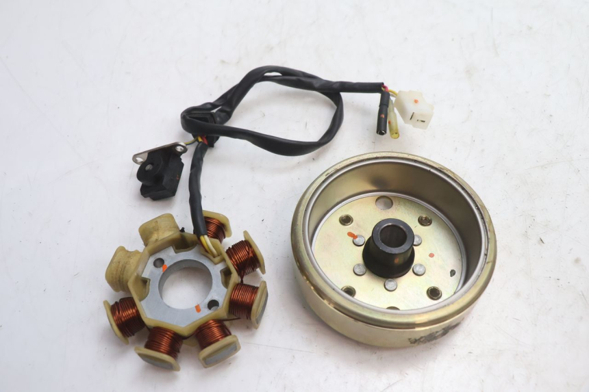 photo de ROTOR ESTATOR TNT MOTOR ROMA 10' 4T 50 (2007 - 2018) - Detalhe da peça