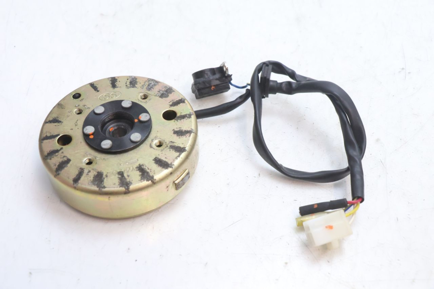 photo de ROTOR ESTATOR TNT MOTOR ROMA 10' 4T 50 (2007 - 2018) - Zoom do estado de desgaste