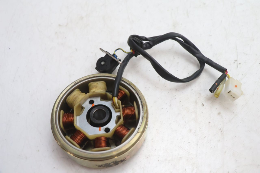 photo de ROTOR ESTATOR TNT MOTOR ROMA 10' 4T 50 (2007 - 2018) - Outro ângulo de visão