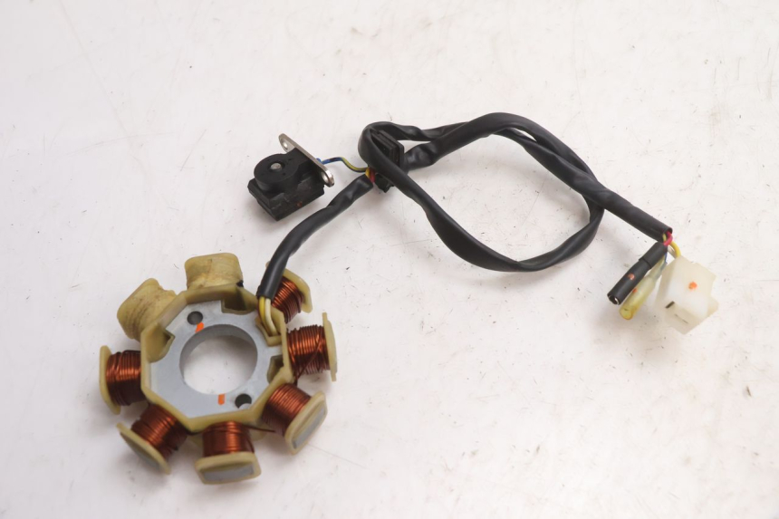 photo de ROTOR ESTATOR TNT MOTOR ROMA 10' 4T 50 (2007 - 2018) - Ampliação técnica