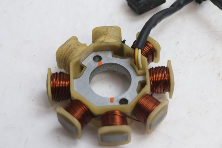 photo de ROTOR ESTATOR TNT MOTOR ROMA 10' 4T 50 (2007 - 2018) - Vista geral