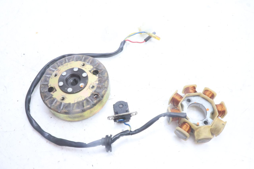 photo de ROTOR ESTATOR TNT MOTOR ROMA 10' 4T 50 (2007 - 2018) - Vista principal