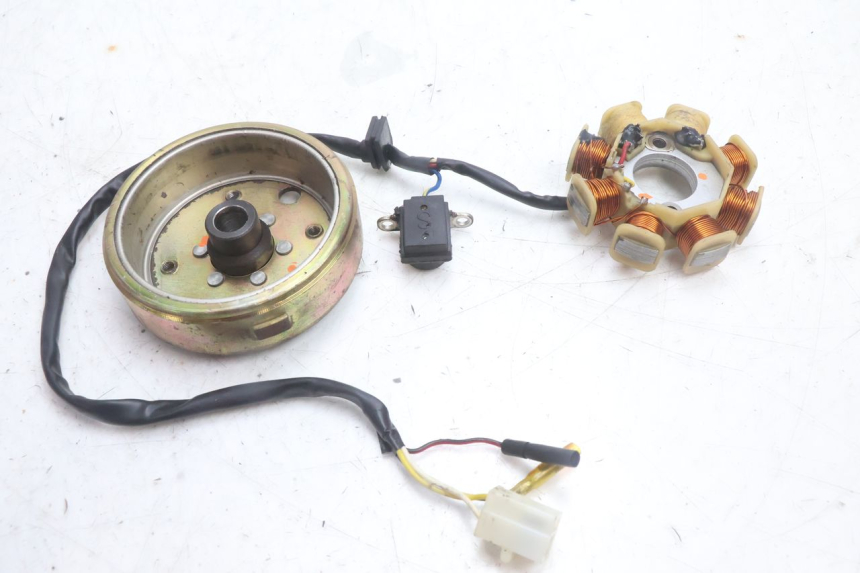 photo de ROTOR ESTATOR TNT MOTOR ROMA 10' 4T 50 (2007 - 2018) - Detalhe da peça