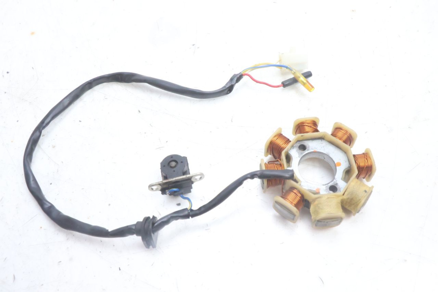photo de ROTOR ESTATOR TNT MOTOR ROMA 10' 4T 50 (2007 - 2018) - Pontos de fixação