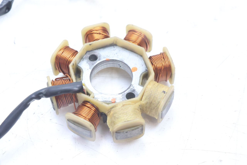 photo de ROTOR ESTATOR TNT MOTOR ROMA 10' 4T 50 (2007 - 2018) - Estado da superfície