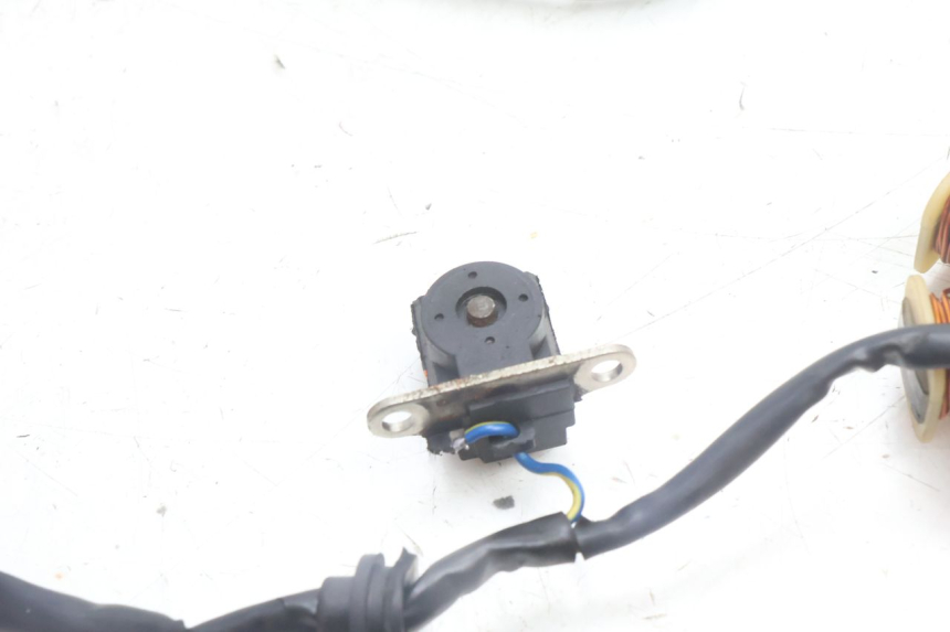 photo de ROTOR ESTATOR TNT MOTOR ROMA 10' 4T 50 (2007 - 2018) - Peça verificada