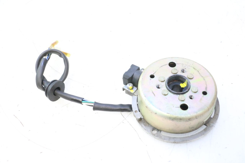 photo de ROTOR ESTATOR TNT MOTOR ROMA 12' 2T 50 (2007 - 2018) - Detalhe da peça