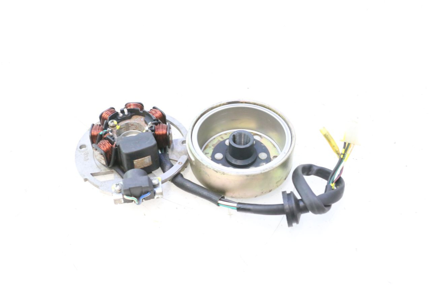 photo de ROTOR ESTATOR TNT MOTOR ROMA 12' 2T 50 (2007 - 2018) - Vista geral