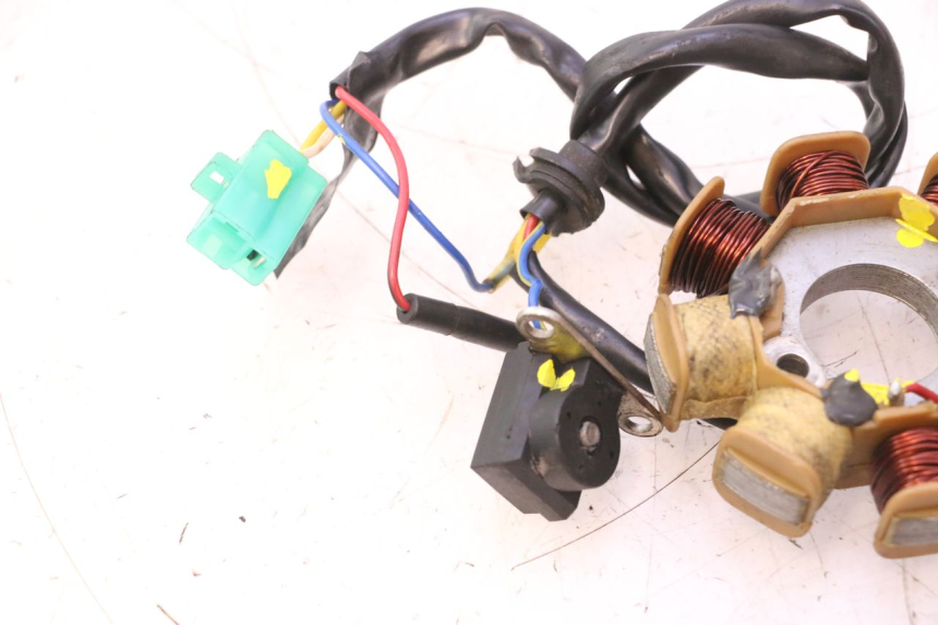 photo de ROTOR ESTATOR JM MOTORS SANTANA 50 (2014 - 2023) - Detalhes característicos