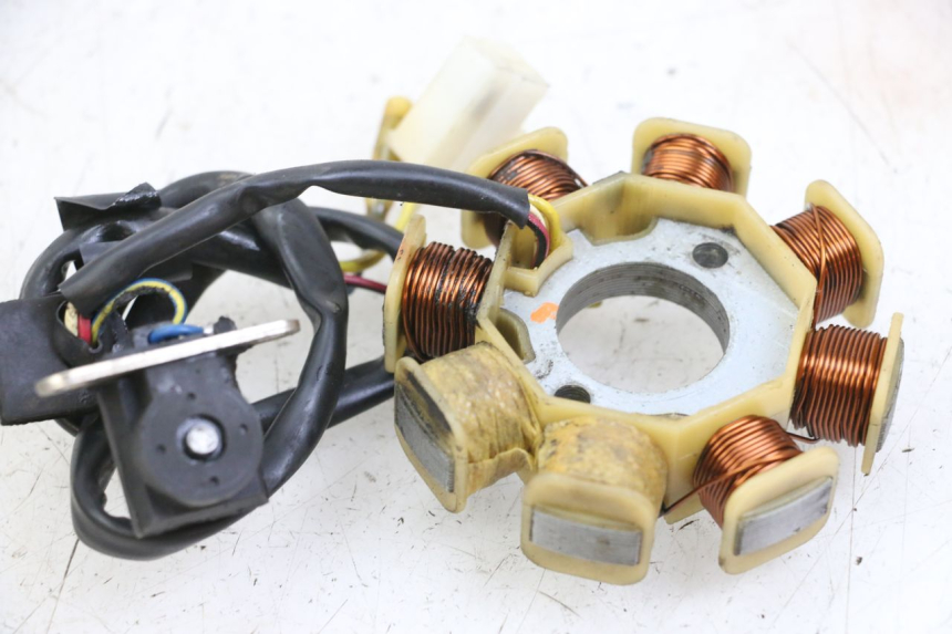 photo de ROTOR ESTATOR JM MOTORS SUNNY 50 (2017 - 2020) - Detalhe da peça