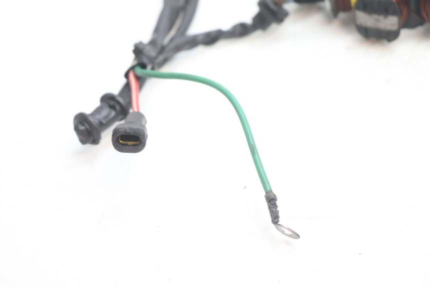 photo de ROTOR ESTATOR PEUGEOT TREKKER 50 (1995 - 2004) - Estado da superfície