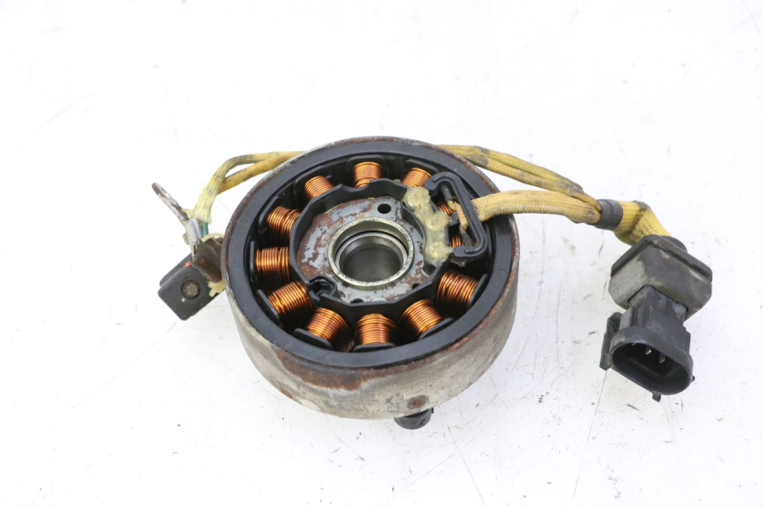 photo de ROTOR ESTATOR PIAGGIO X9 EVOLUTION 125 (2003 - 2007) - Vista geral