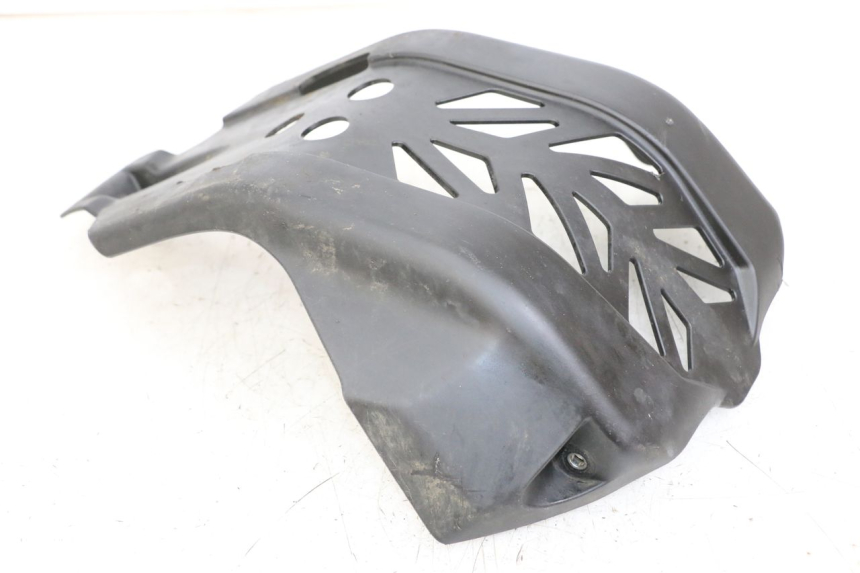 photo de PROTETOR DE MOTOR HONDA CRF R 250 (2020 - 2021) - Vista principal