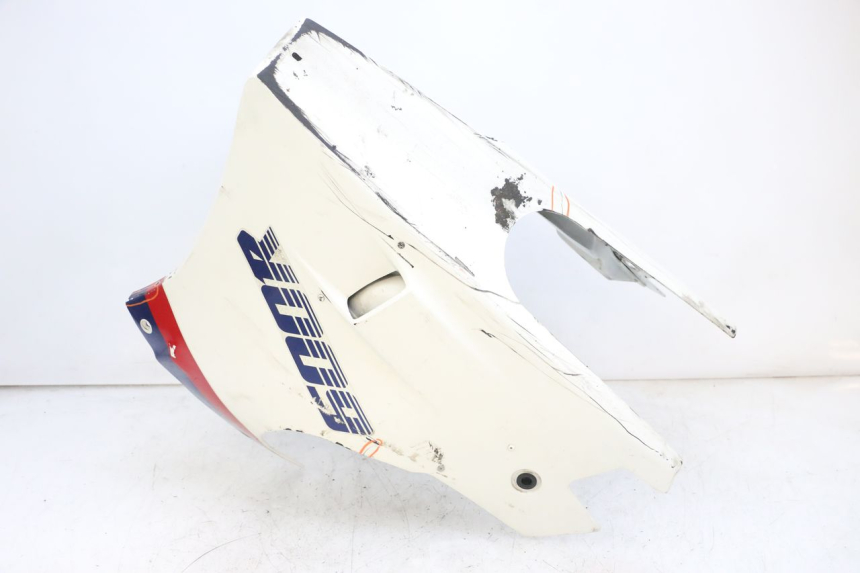 photo de PROTETOR DO MOTOR KAWASAKI GPX R WARBIRD 600 (1988 - 1993) - Vista principal