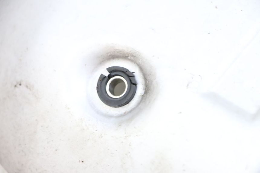 photo de PROTETOR DE MOTOR BMW R GS 1250 (2021 - 2024) - Vista geral