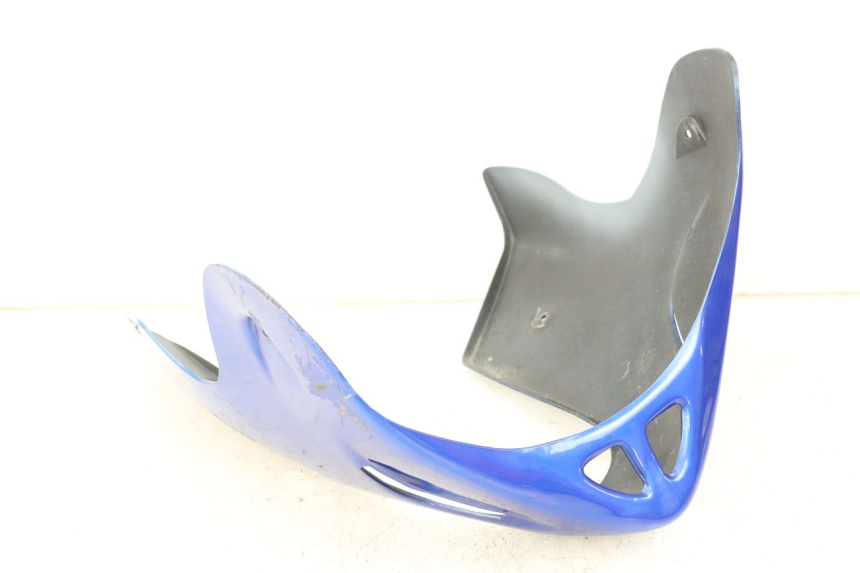 photo de PROTETOR DO MOTOR SUZUKI GSF S BANDIT 600 (2000 - 2004) - Vista geral