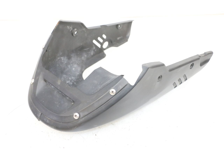 photo de PROTETOR DE MOTOR DAELIM VJ ROADWIN FI 125 (2008 - 2017) - Vista principal