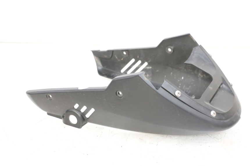 photo de PROTETOR DE MOTOR DAELIM VJ ROADWIN FI 125 (2008 - 2017) - Estado da superfície