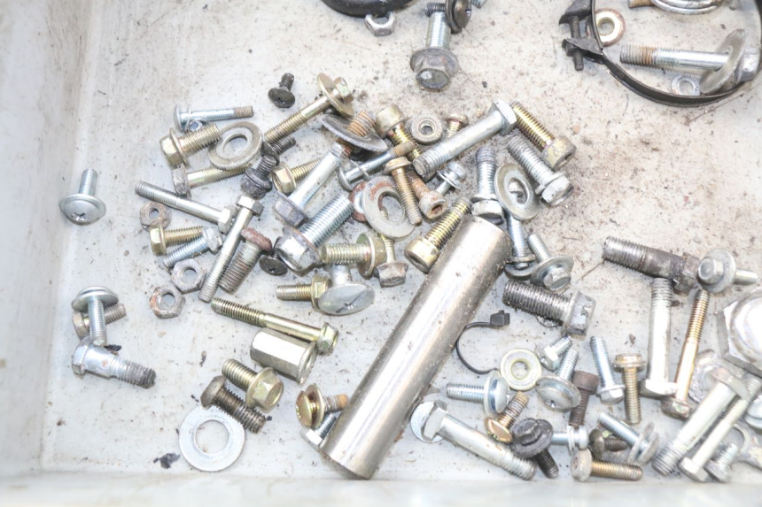 photo de SACO DE PARAFUSOS E FERRAGENS HYOSUNG AQUILA GV 125 (2009 - 2016) - Detalhe da peça