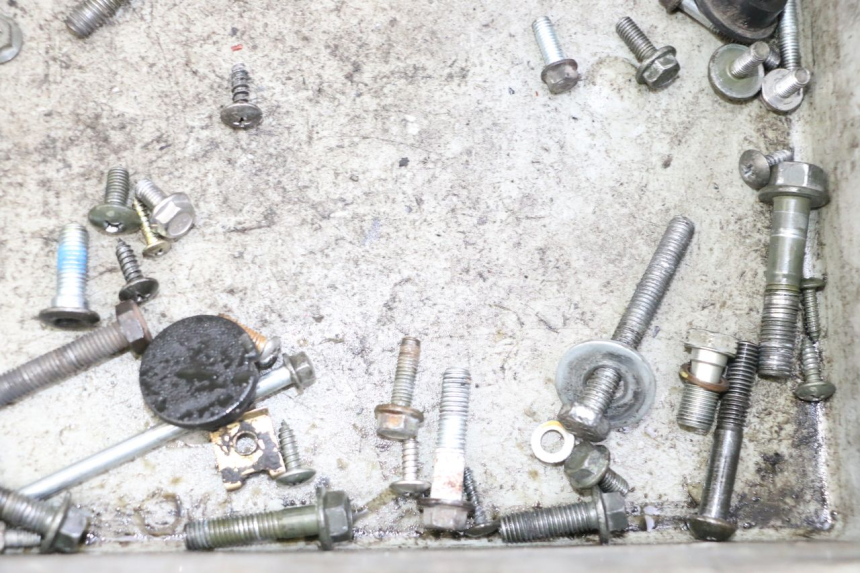 photo de SACO DE PARAFUSOS E FIXADORES JM MOTORS EVOLIS 4T 50 (2018 - 2022) - Zoom do estado de desgaste