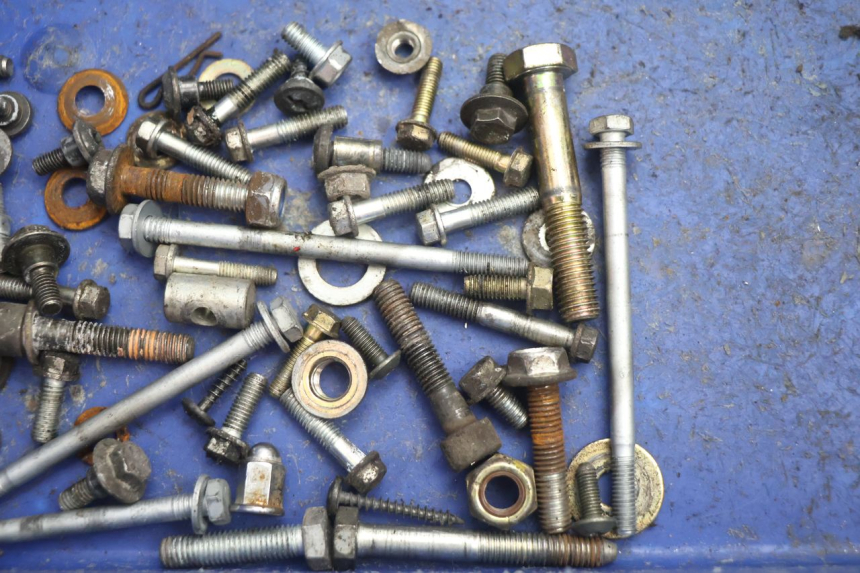 photo de SACO DE PARAFUSOS PARAFUSOS PEUGEOT LUDIX ONE 14P 50 (2004 - 2013) - Zoom do estado de desgaste