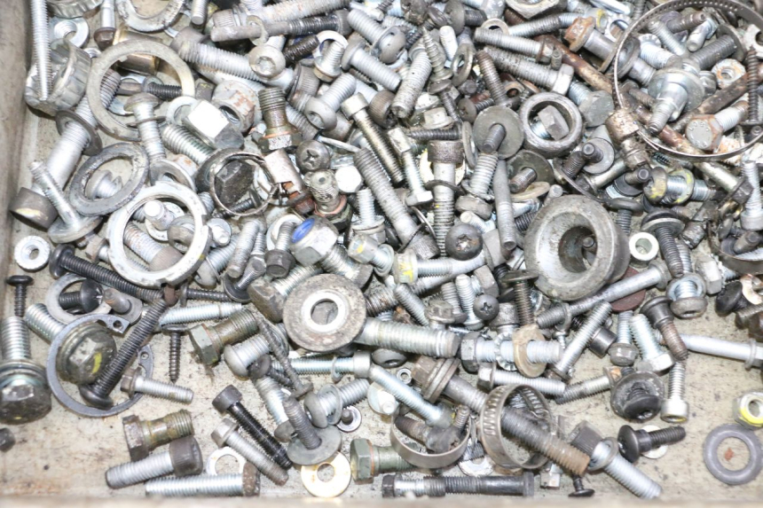photo de SACO DE PARAFUSOS E FIXADORES PIAGGIO MP3 LT 300 (2010 - 2016) - Zoom do estado de desgaste