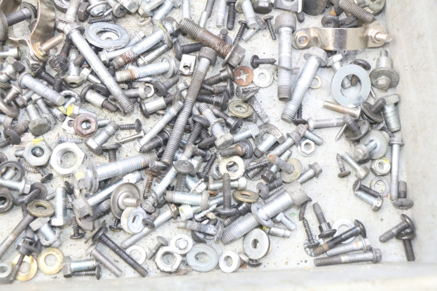 photo de SACO DE PARAFUSOS E FIXADORES PIAGGIO MP3 500 (2011 - 2015) - Zoom do estado de desgaste